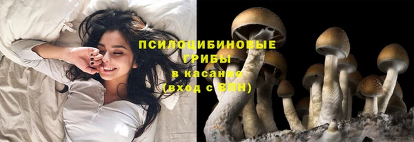a pvp Няндома