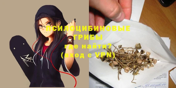 a pvp Няндома