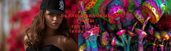 a pvp Няндома