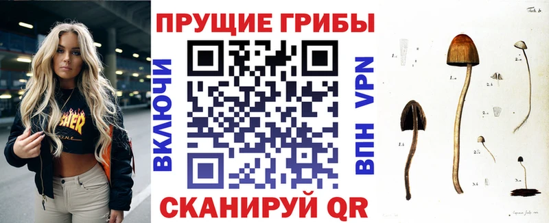 Псилоцибиновые грибы GOLDEN TEACHER  Юрга 