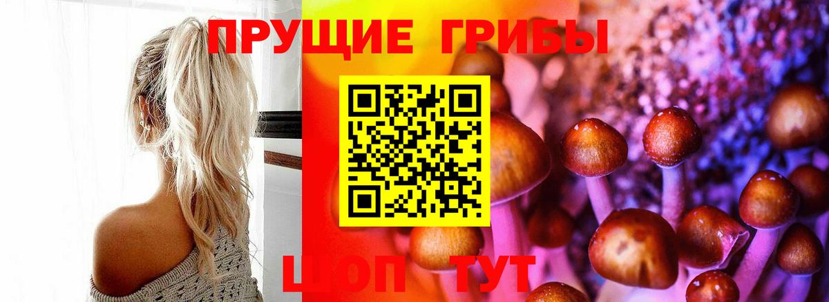 Галлюциногенные грибы мухоморы  Псилоцибиновые грибы Cubensis  Вход с VPN  Юрга 