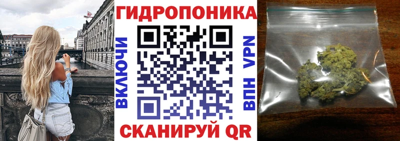 Бошки Шишки семена  Юрга 